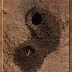 Sol 627,2017 Sol 627,2017