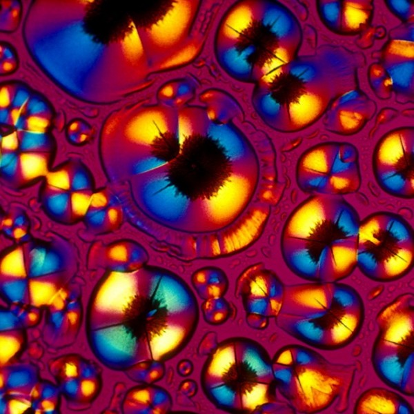 I Cocktail Al Microscopio Che Richiamano L arte Astratta INSIDEART