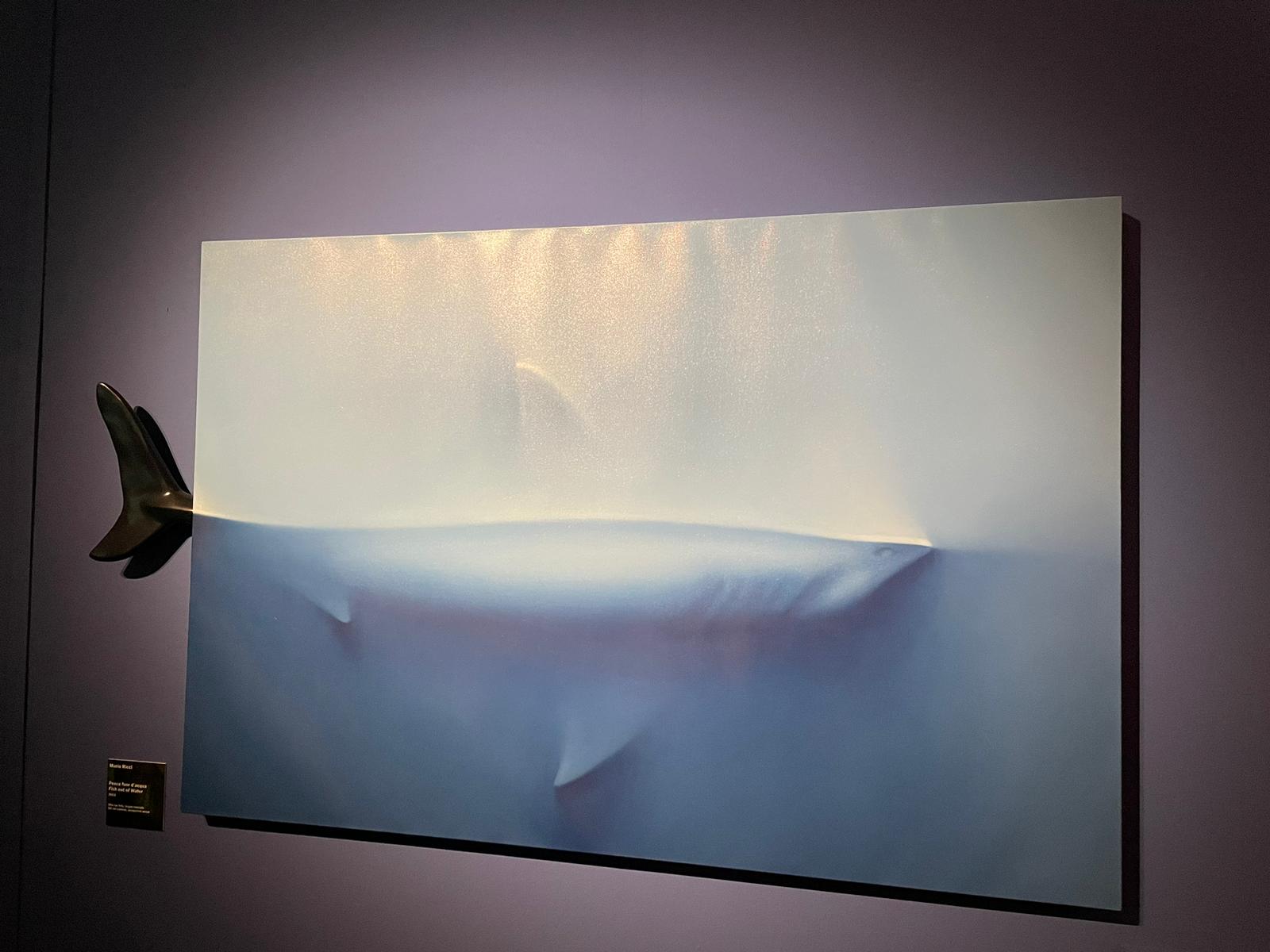 "Animali Fantastici" a Bologna il primo zoo d'artista