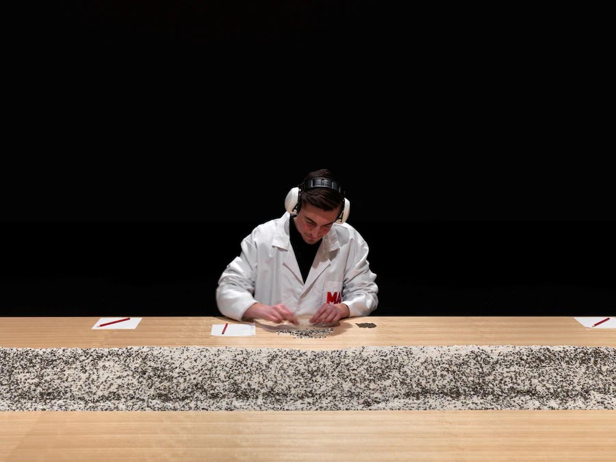 Marina Abramović